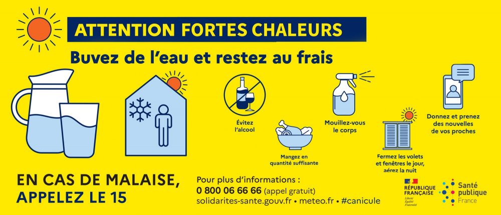 canicule canicule