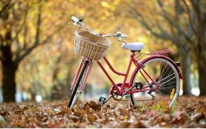 Vélo Vélo